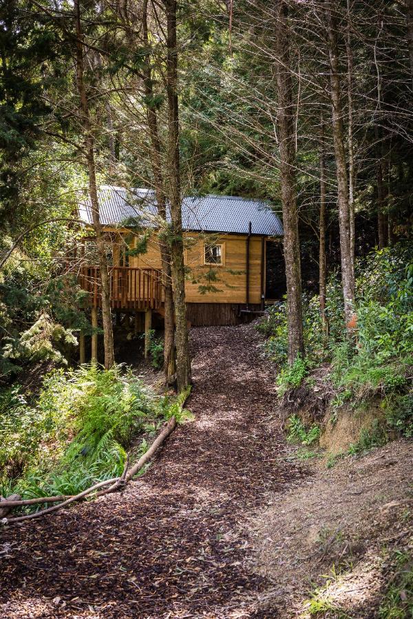 Maitai Whare Iti - Adventure Cabins & House Nelson Exteriér fotografie