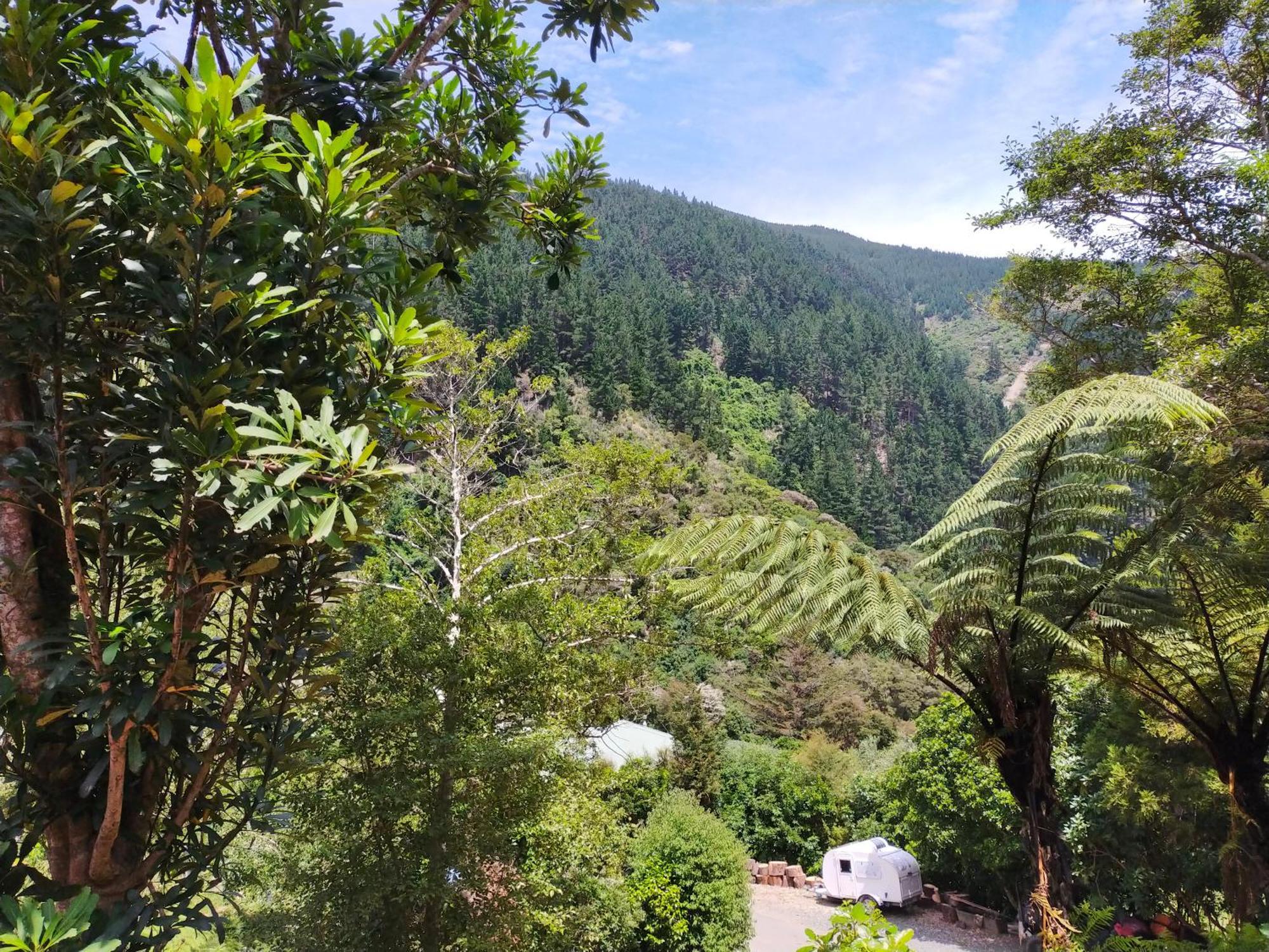 Maitai Whare Iti - Adventure Cabins & House Nelson Exteriér fotografie